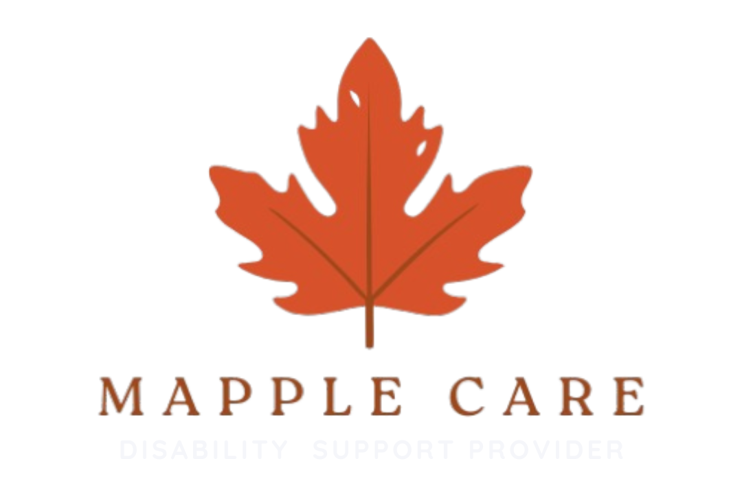 DISABILITY SUPPORT PROVIDER